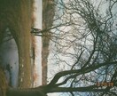 アメリカのフィルム写真１０枚セット提供します ミネアポリス＆サンフランシスコ イメージ9