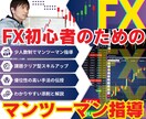 FXチャートパターンを極める練習法を解説指導します これからFXを始めたい人、勝てていない人に基本から丁寧に指導 イメージ1