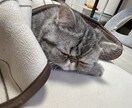 DMサポート後の継続リーディングをお届けします 今週の過ごし方＋気になることを2つまでリーディングします イメージ2