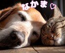 スピリチュアル！その感覚間違ってないよと伝えます 夢！お役目？呼ばれてる？あなたの感覚で楽しくお話しましょう イメージ9