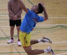 試合動画を見てバレーボールの知識や技術を教えます バレーボールの知識や技術を教えます イメージ2