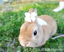 チャットでお話聴きます 周囲には話しにくい想いやもやもや、交換日記の様に話ませんか？ イメージ4