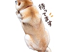 愛犬の写真から可愛いLINEスタンプを作ります 最新AI×丁寧な画像補正で、世界にひとつのスタンプを制作！ イメージ2
