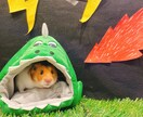 大切なペット達の飼育についてアドバイスします 元ペットショップ店員がペットの飼育方法やお悩みにアドバイス！ イメージ2