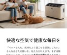 Canva使用　LPの制作をトータル作成致します 初めてのLP制作の方も大歓迎です イメージ7