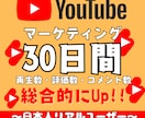 YouTubeのチャンネルを総合的に伸ばします 登録者数・評価数・コメント数の総合的な増加施策‼️ イメージ1