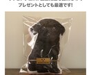ペット（犬猫）の命名書（手形）クッションを作ります 画像と手型（肉球）を使った命名書入りのメモリアルクッション。 イメージ6