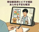 現役獣医師が愛犬・愛猫の健康相談＆不安解消します 人医学及び獣医学的知見から飼い主様の心に寄り添います。 イメージ1