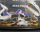 簡単に作れる釣り上げた魚の歯型標本の作り方教えます 釣り上げた魚を食べるだけではなく記念として形に残しませんか? イメージ1