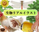 図鑑・教科書・教材のリアルなイラストを描きます 学術対応可能、教材・論文・専門書向けの正確な図版を提供します イメージ1