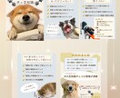 集客・売り上げUP！魅力的なバナーをお作りします 低価格高品質、修正無制限。目的に合ったデザインを提案します！ イメージ4