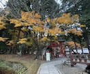 生まれてきた意味を教えます どうして生きる事が苦しいのか、抜け出す方向に導きます☆ イメージ1