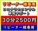単発30分‼️リピータ様専用⭐️個別コンサルします ココナラ販売・メンタル改善・副業支援・人生相談・ビジネス戦略 イメージ1
