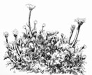 アナログ、デジタル両方イラスト描けます 生き生きとした人物の表現、手描きの良さを出すのが得意 イメージ9