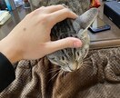 恋愛、結婚、離婚、雑談、悩み相談承ります 普通のサラリーマン、離婚歴あり、テニスが得意な30代男です！ イメージ1