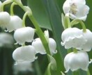お悩み相談お受けします 愚痴やお茶の間の話もお受けしています❗️ イメージ1