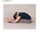 自律神経・心体・内臓バランスをグラフ化します なんとなくの不調・未病｜東洋医学・ヨガ・食事・筋肉ケア・経絡 イメージ9