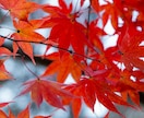 陰陽師が、仕掛けられたものを全て除けて無効化します ★あなたの困っている事が解決し、人生を良くするために★ イメージ1
