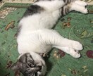 オールジャンルOK 心の断捨離お手伝いします 心のモヤモヤをどうにかしたい、開放されたい、そんなあなたに イメージ1