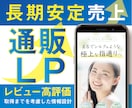納期柔軟対応/長期的な売上が目的のLP作成します お客様の〇〇度に特化した通販LP！カテゴリ1位受賞歴あり イメージ1