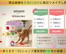 初回おススメプラン★中国商品画像をリメイクします アリババ商品LPを“売れる日本向けLP”へ作成し放題プラン！ イメージ3