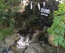 人形(ひとがた)流しと代理参拝します 府中の大国魂神社で人形流しを代行して厄や穢れを取り除きます イメージ1