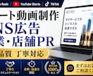 制作実績1000本超！高品質な動画編集をしますます 企業PR・YouTube・SNSなど幅広い動画に対応！ イメージ5