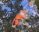 SNSで使用するイラストを承ります ノーマルなイラストは勿論、写真を使ったイラストも描けます！！ イメージ9