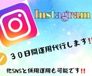 ３０日間◆インスタグラム運用代行します ゼロから３０日間、インスタグラムの運用をします！ イメージ1