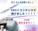SNSを利用する副業を紹介します 挫折ばかりの私がやっと稼げた‼︎ イメージ1