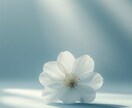 子どもの未来と本質を霊視し、芯を捉えて導きます あらゆる人生の悩みに、未来を切り開く霊視を。可能性の開花へ イメージ6