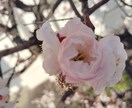 結婚したいなあ〜と思っているあなた連絡待っています もうそろそろ結婚したいなあ〜と思っている貴方へ結婚の近道伝授 イメージ3