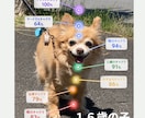 Healyによるオーラ分析をします チャクラとオーラから今を読み解きます イメージ4
