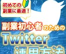 見込み客を獲得するTwitter運用方を伝授します 副業を始めたい、少しでも副収入を作りたいあなたへ イメージ1