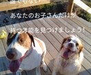 子育て／幼児教育についてや先生方のお悩みに答えます プロの意見を聞いて問題解決！個性を伸ばす教育のお手伝い！ イメージ2