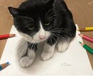 リクエストに沿った似顔絵をお届けします 現役芸大の特待生が本格的な似顔絵を描かせていただきます イメージ4