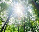 あなただけの『ママの自己肯定感トリセツ』つくります あなただけの“らしさ”を知れば、子育てが変わる！ イメージ7