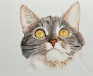 ペット似顔絵を色鉛筆で2Lサイズに描きます 写真を元に色鉛筆でペットの似顔絵をリアルに描きます。 イメージ5