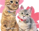 ハイクオリティなペット画を、色鉛筆で手描きします ♪精密描写＊ペットの肖像画＊記念プレゼント＊インテリアアート イメージ5
