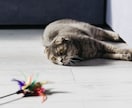 単純に猫が相談に乗ります 悩んだら猫に話してごらんにゃさい イメージ1