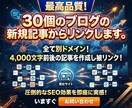 最高品質！30個のブログの新規記事からリンクします ★記事内からの自然な被リンクでペナルティー0 イメージ1