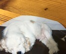 貴方の悩み　愚痴　何でも聞きます 今日　発散してスッキリしましょう。 イメージ1