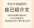 今だけ1000円！SNSプロフィール作成します あなたらしさが伝わる自己紹介文を丁寧に整えます！ イメージ1