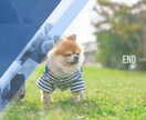 スマホ写真でフォトムービー制作します 写真10枚あればオリジナルなフォトムービー制作可能！ イメージ2