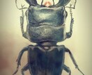 イラスト入りのキュートな名刺作ります 人とは違った衝撃とインパクトを残したい方に！！ イメージ3