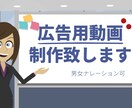 VyondでYouTube動画広告を制作致します 日本語・英語ナレーション吹き込み可。早期納品。 イメージ1