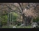 撮影から納品まで写真素材作成します ライト仕上げで格安提供！写真オールジャンル承ります イメージ1