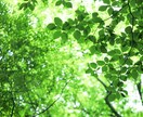 知り合いに言えない悩みや愚痴の話し相手になります 気軽にストレスを吐き出してみませんか？ イメージ1