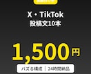 X・TikTok投稿10本を1500円で作成します バズる構成で投稿・台本を10本納品します イメージ1