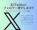 X(ツイッター)フォロワー1000人増やします 超格安フォロワー1,000人増加!あなたもインフルエンサー! イメージ1